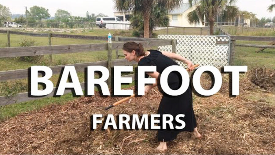 Help From Our Barefoot Farmers! Image
