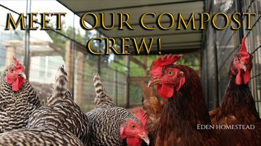 Meet Our Compost Crew Image