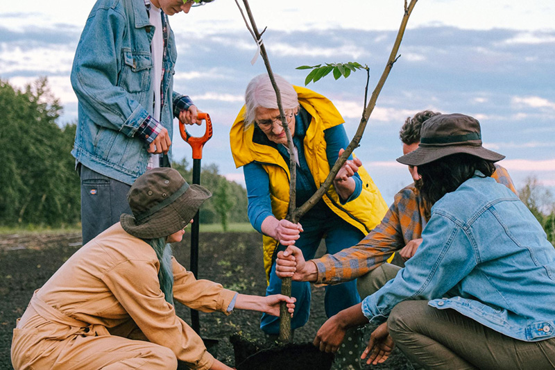 A group of volunteers planting a tree.