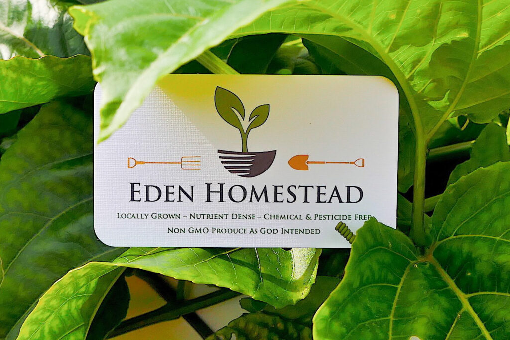 Eden Homestead – locally grown, nutrient dense, chemical & pesticide free, non-GMO produce as God intended.