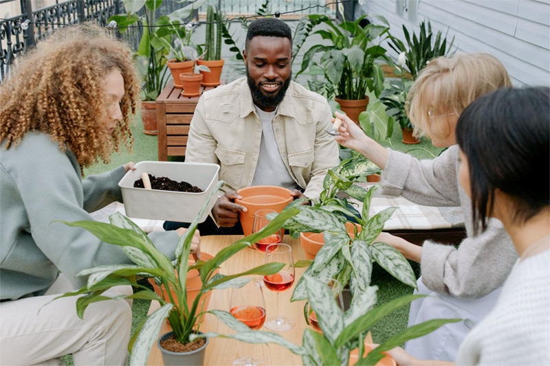 Four people learning and planting together.