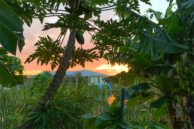 Sunset at Eden Homestead.
