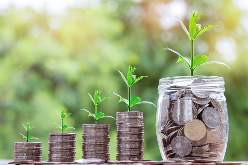 Jars of coins with plants growing in them.