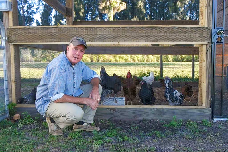 Don Blizard with his chickens.
