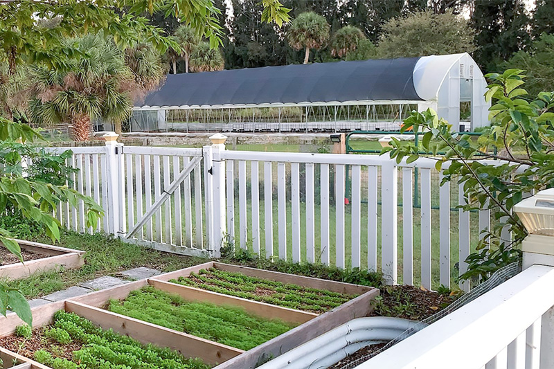 Planting season at Eden Homestead