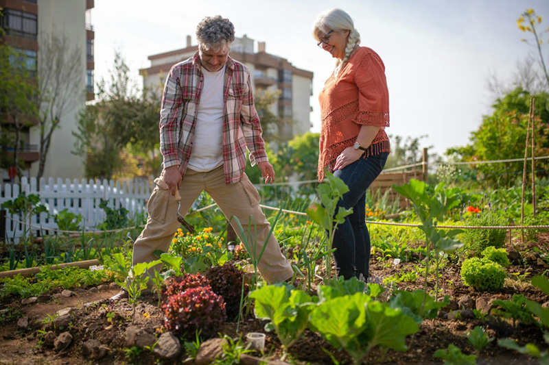 A couple planting vegetables in a small city garden.
