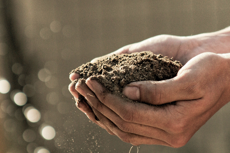 We Are a Culmination of Soil and Spirit