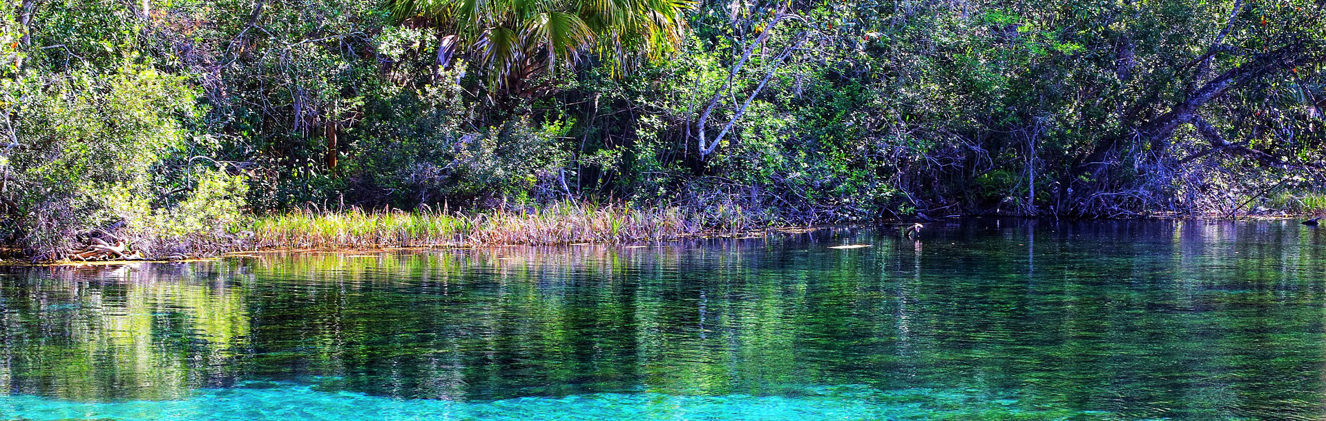 Florida Springs