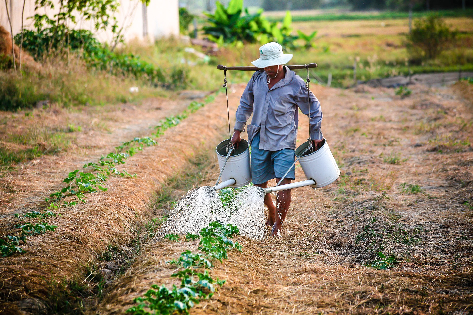 Life Lessons From Farming